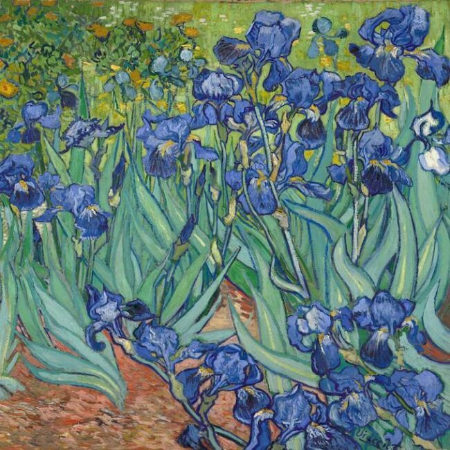 Van Gogh Iris